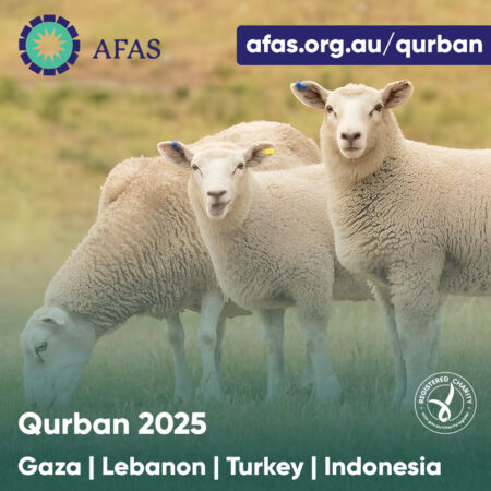 Qurban (Gaza / Lebanon / Turkey / Indonesia)