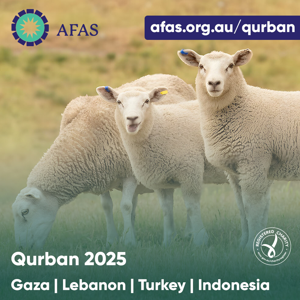 Qurban (Gaza / Lebanon / Turkey / Indonesia)